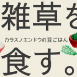 【料理嫌い】雑草を食べる 〜カラスノエンドウの豆ごはん〜