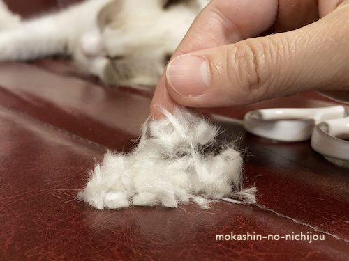 猫の足裏の毛の収穫量