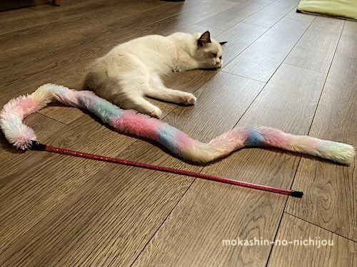 虹色の長〜い猫じゃらし