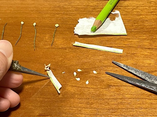 白い花びらを貼り