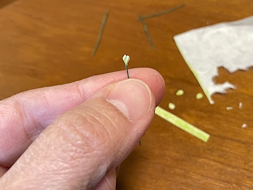 花を茎に貼り始め