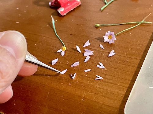 マーガレットの花びら