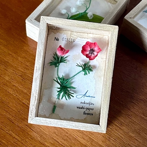 和紙のミニチュアフラワー(アネモネの標本箱)