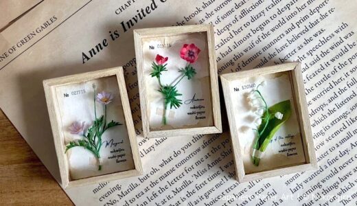 和紙の花で作る植物標本箱｜ミニチュア標本〈マーガレット・スズラン・アネモネ〉