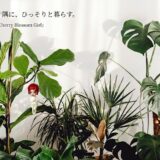 世界の片隅に、ひっそりと暮らす。｜和紙人形『Cherry Blossom Girl』が生まれるまで