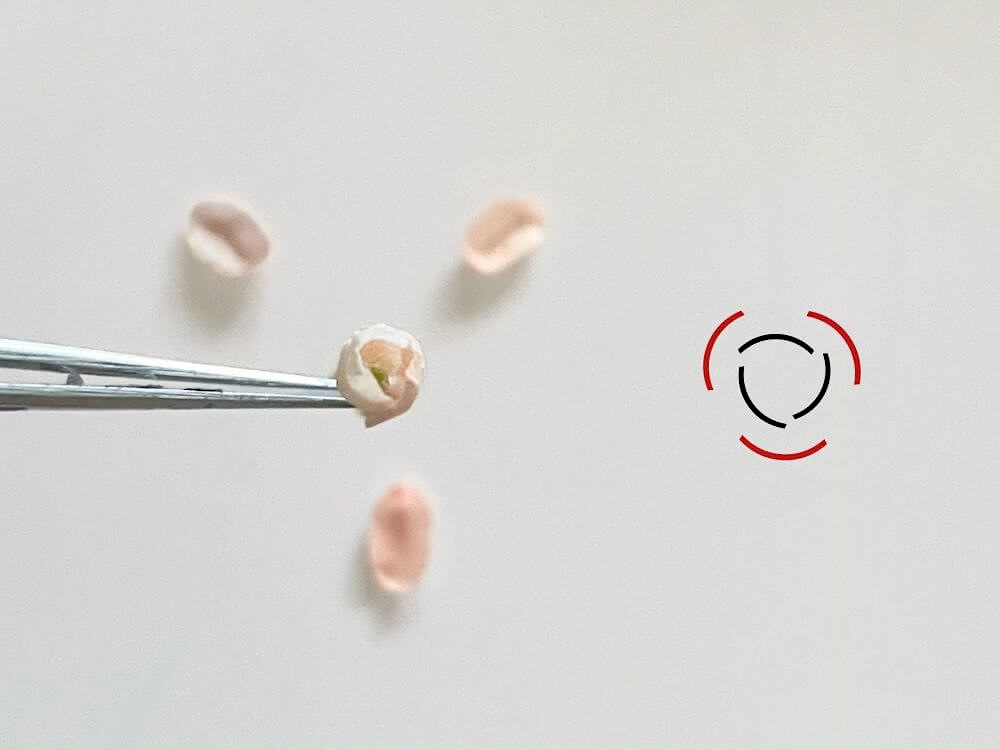 3枚の花びらをチューリップの中心に取り付ける工程